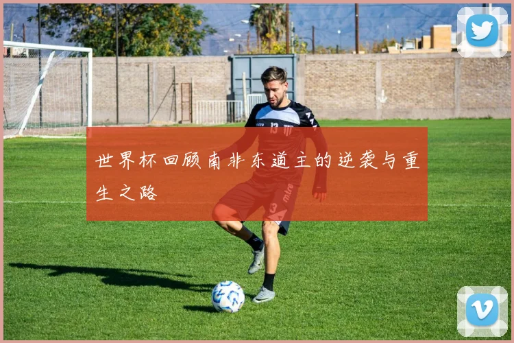 世界杯回顾南非东道主的逆袭与重生之路